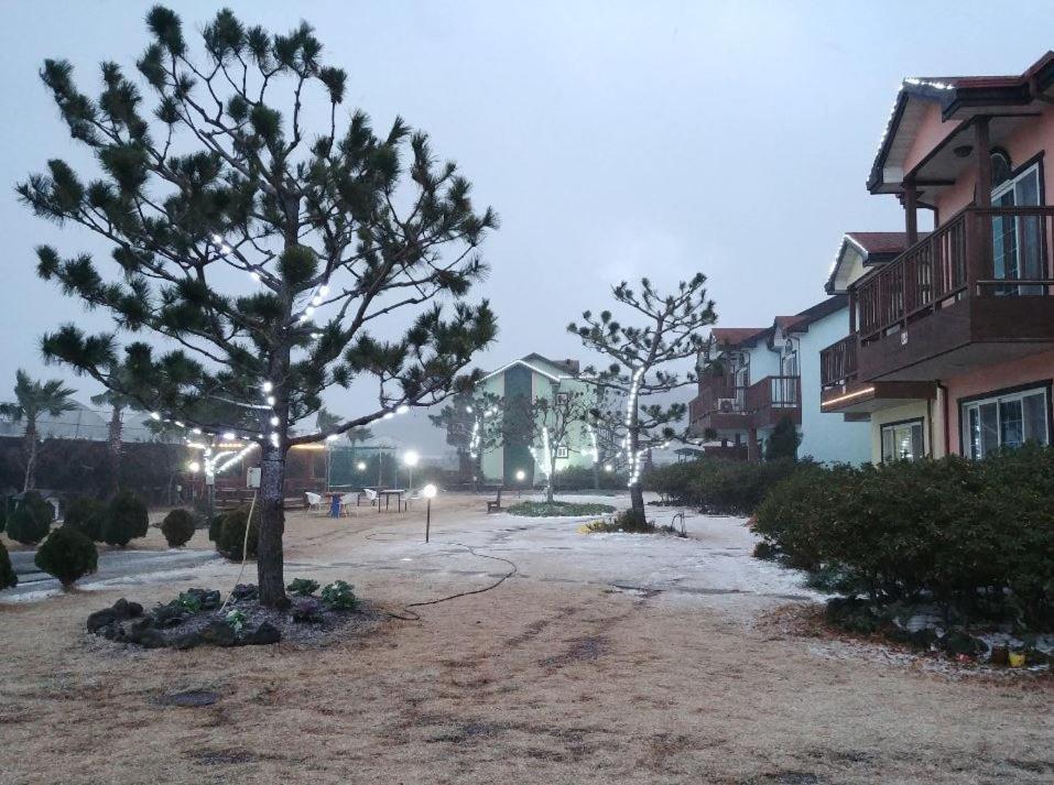 제주 시간여행 휴양 펜션 외부 사진