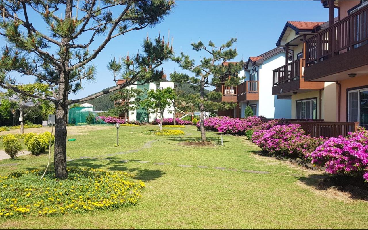 제주 시간여행 휴양 펜션 외부 사진
