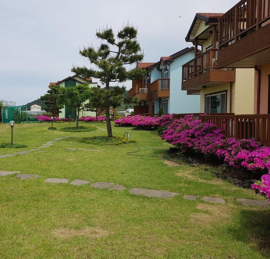 제주 시간여행 휴양 펜션 외부 사진