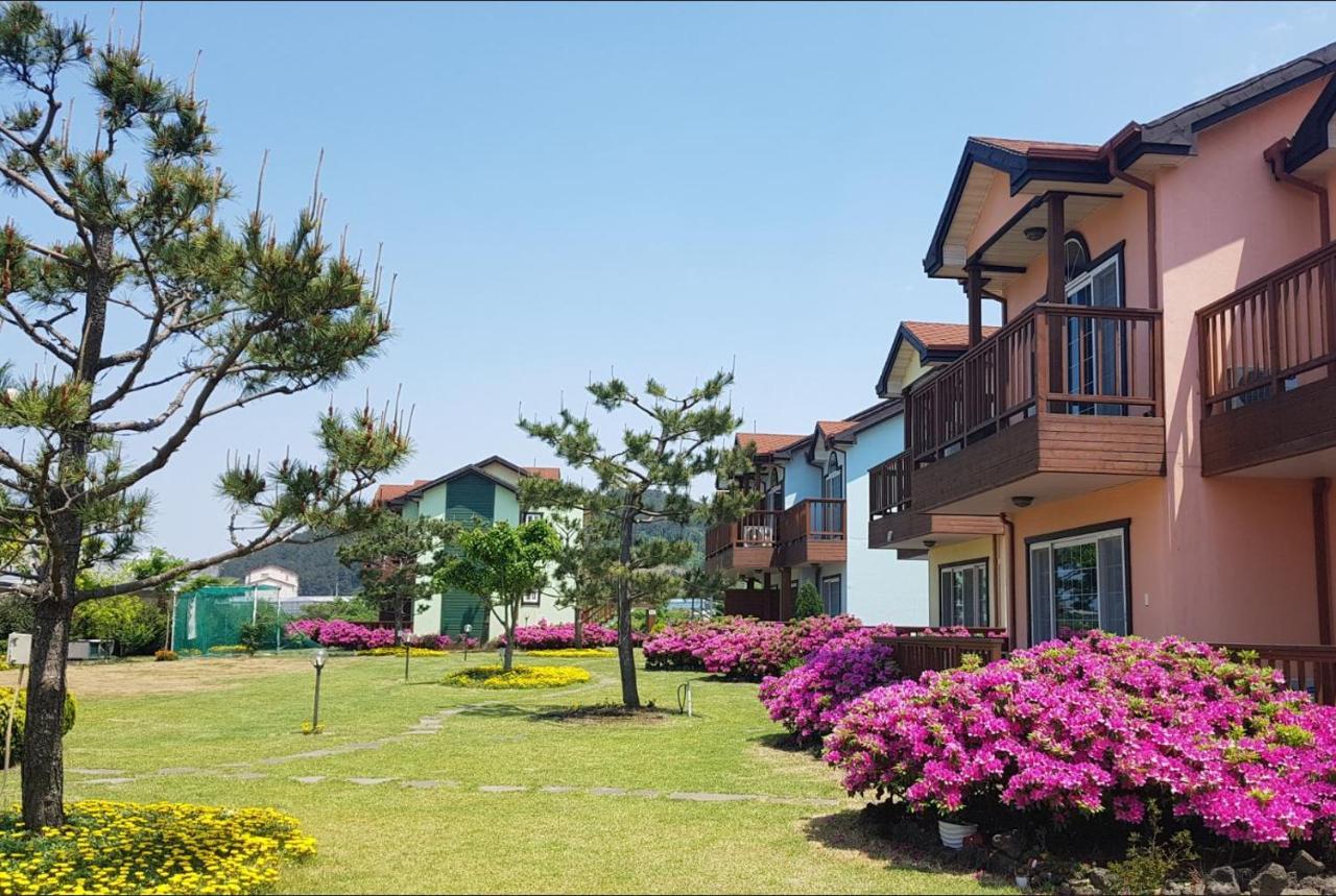 제주 시간여행 휴양 펜션 외부 사진