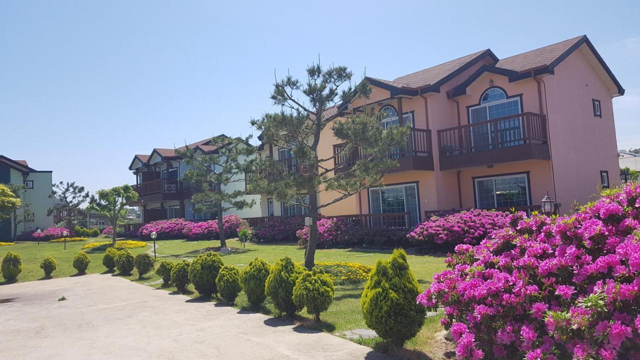 제주 시간여행 휴양 펜션 외부 사진